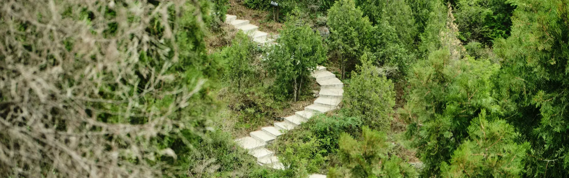 Ein klarer Weg in unwegsamen Gelände am Berghnag mit Wald. 